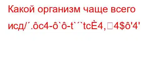 Какой организм чаще всего исд/.c4-`-t``tc4,4$'4'